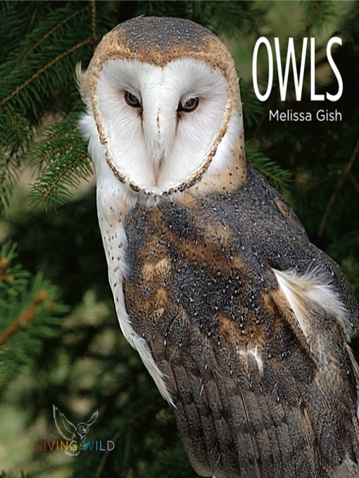 Title details for Owls by Melissa Gish - Available